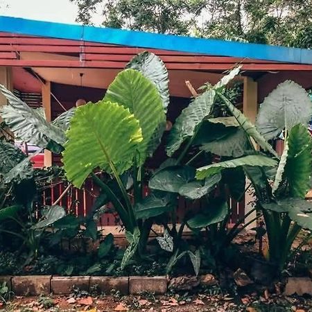 Song Pee Nong Resort Phattalung Phatthalung Eksteriør bilde