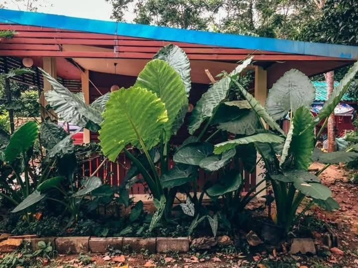 Song Pee Nong Resort Phattalung Phatthalung Eksteriør bilde